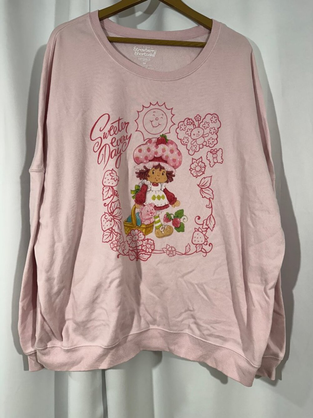 Strawberry Shortcake 3X Pink Graphic Sweatshirt Sweeter Every Day Pullover
